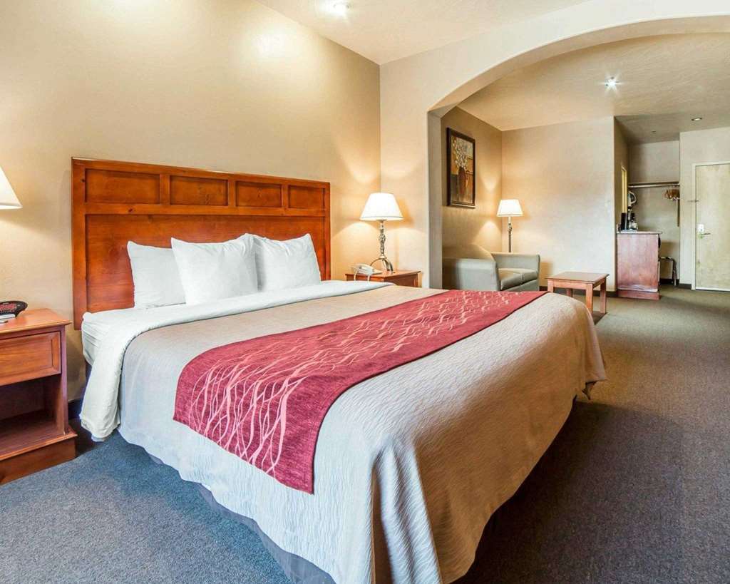 Comfort Inn At Convention Center Saint George Стая снимка